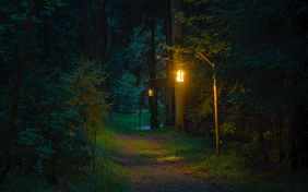 Direkt am Waldrand gelegen